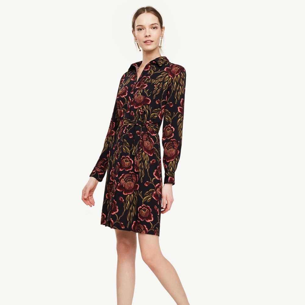 Ann Taylor NWT Dress Size Small